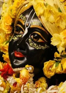 Lord Krishna Bhajan