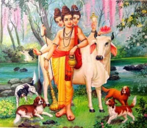 Avdhoot gita 