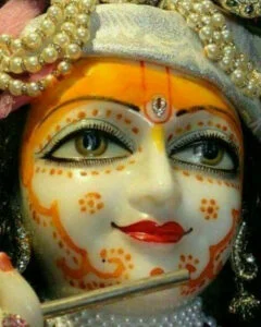 Mere Banke bihari lal bhajan