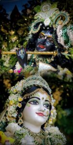 कौन विधि रीझेंगे मुरलीधर श्याम भजन लिरिक्स