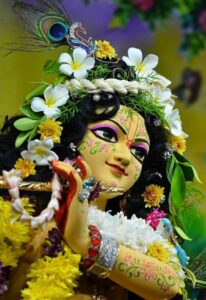 Read more about the article Shree Krishna Brahmand Kavach